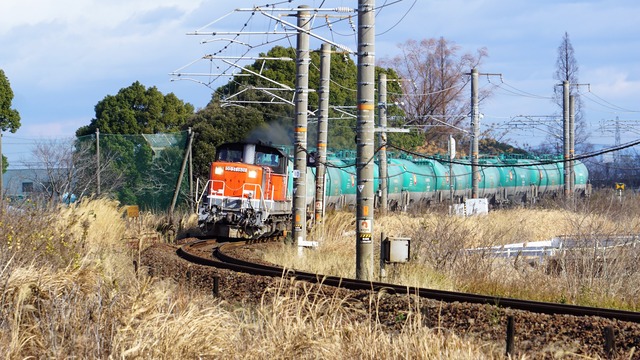 DSC08174