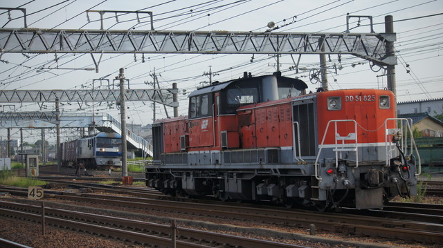 DSC00780
