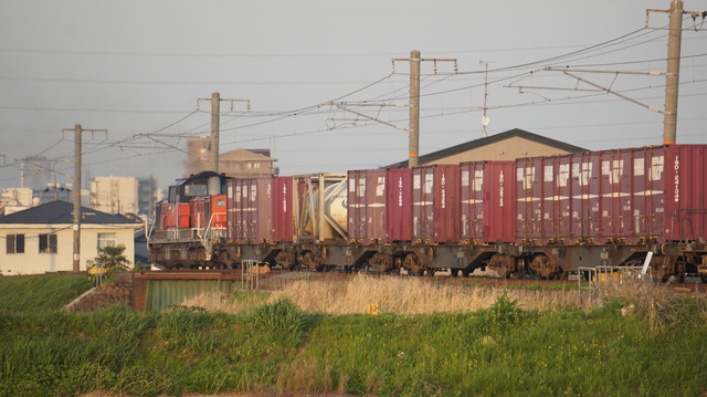 DSC03543