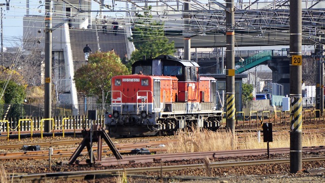 DSC08460
