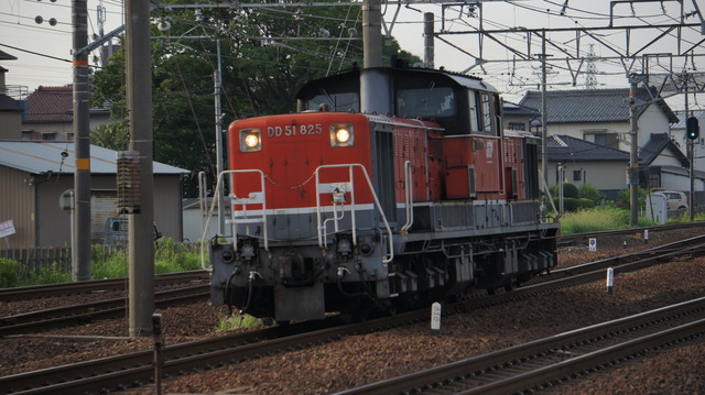 DSC00772