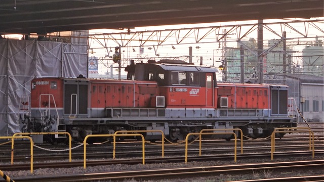 DSC09020