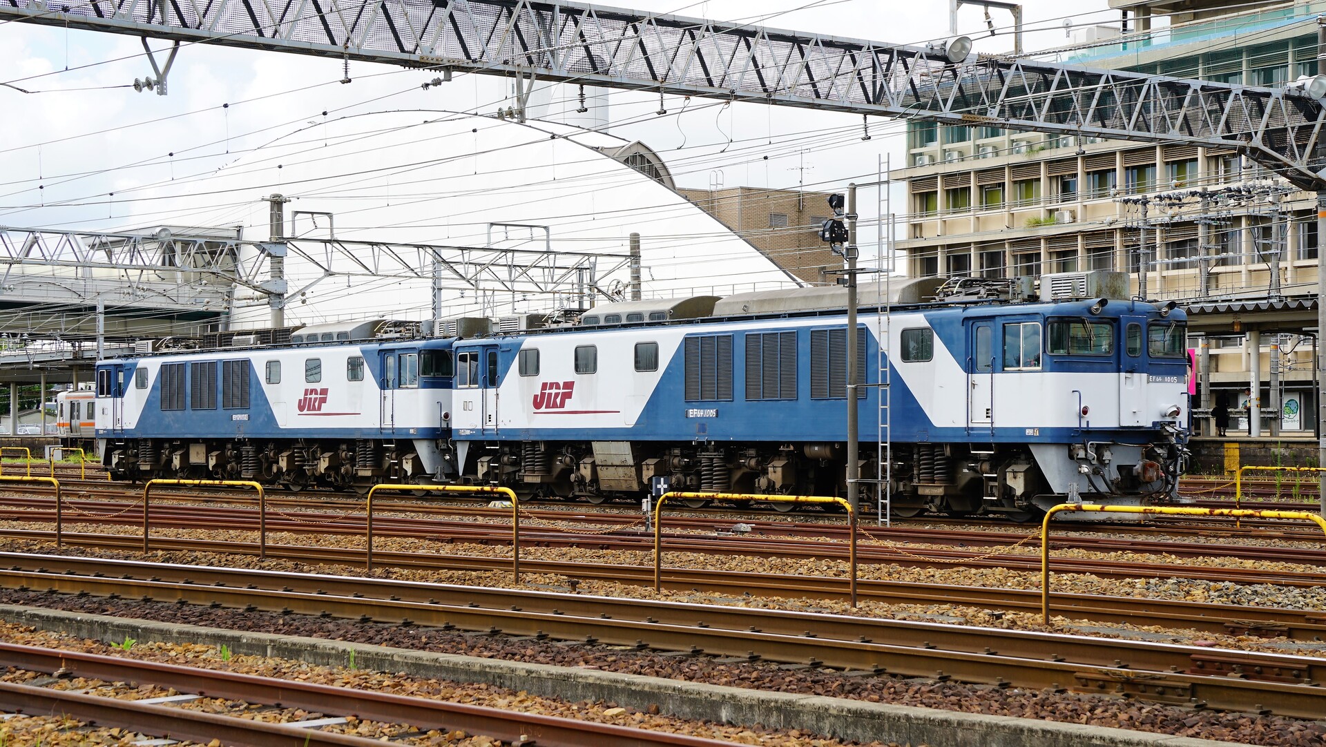 【期間限定値下げ】EF64 大宮車 スタフ差し 運用を終えたEF64大宮更新色を観察する : Rail Scope