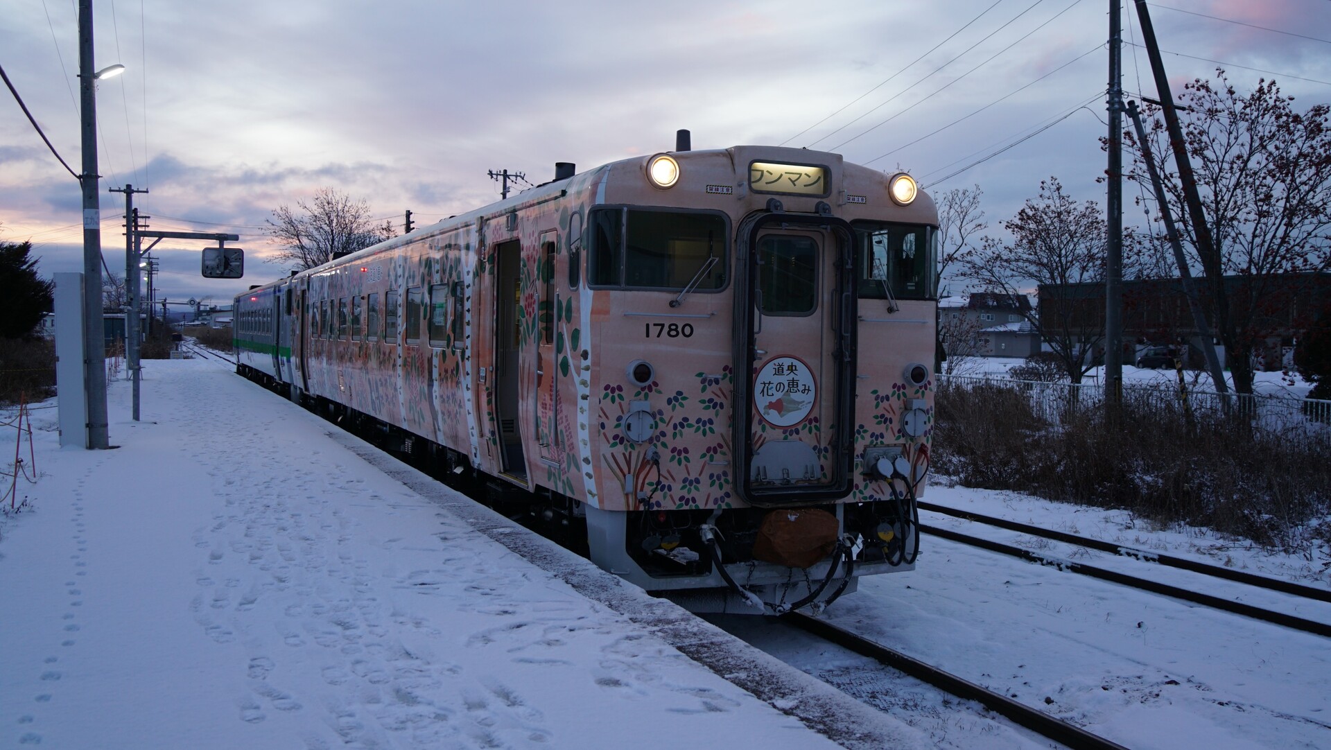 2025年1月JR北海道最後のキハ40 その28 日高線のキハ40系 : Rail
