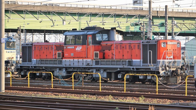 DSC02008