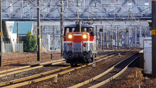 DSC00318