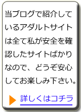 アダルトサイトの安全性