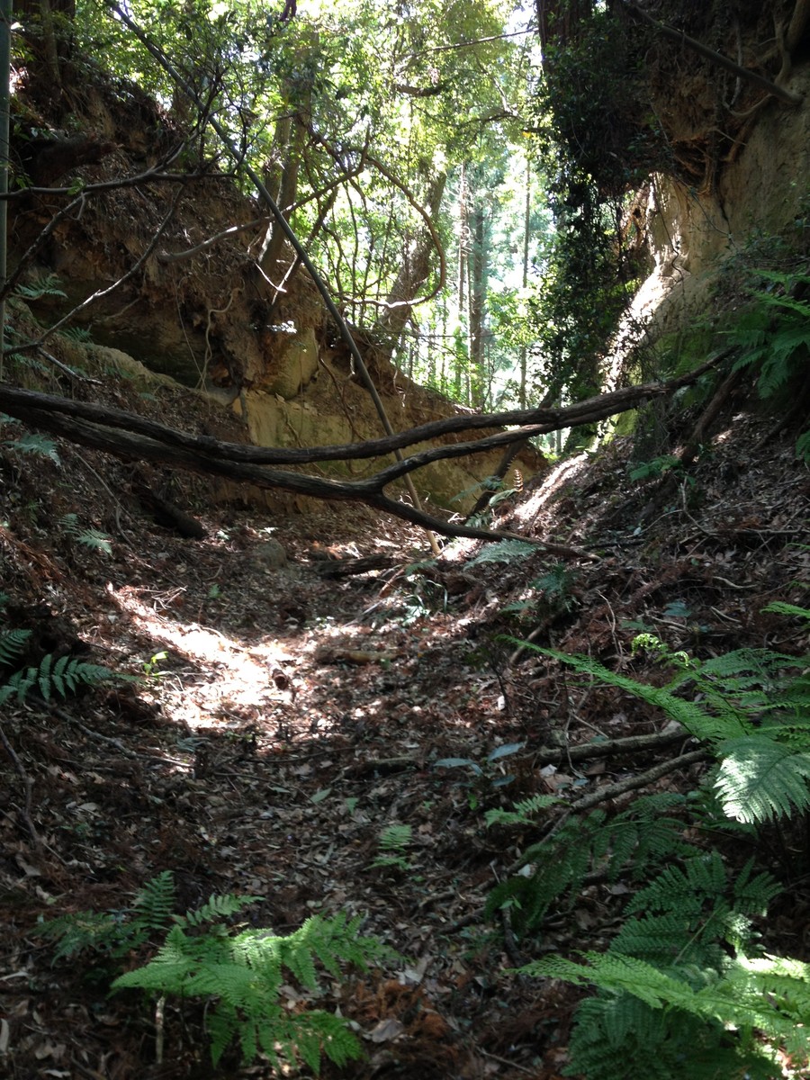 未走破地域探索測定大網白里町・金谷郷の隧道&土気の切り通し