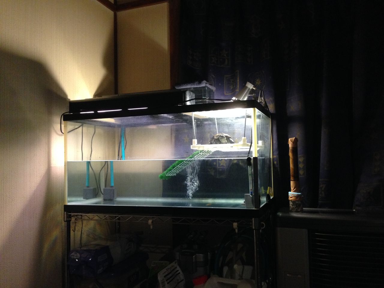 山田くん クサガメ ５ Z4blog