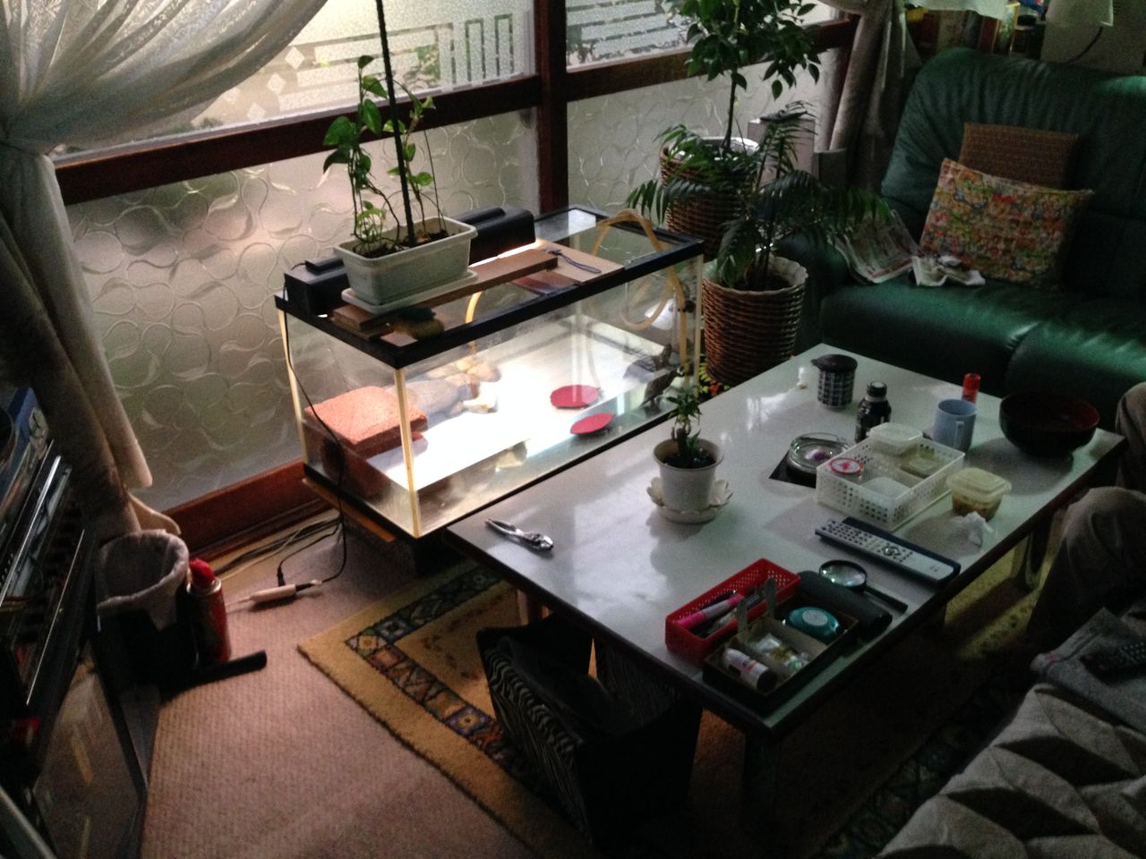 我が家のアイドルやまだくん Z4blog