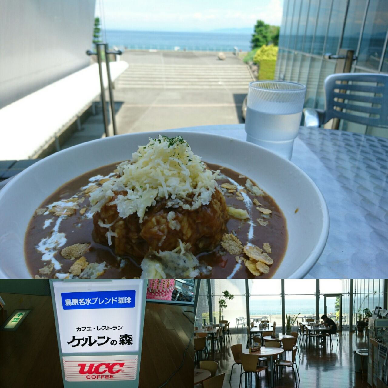 がまだすドーム内 ケルンの森 でランチっち Zacckynote