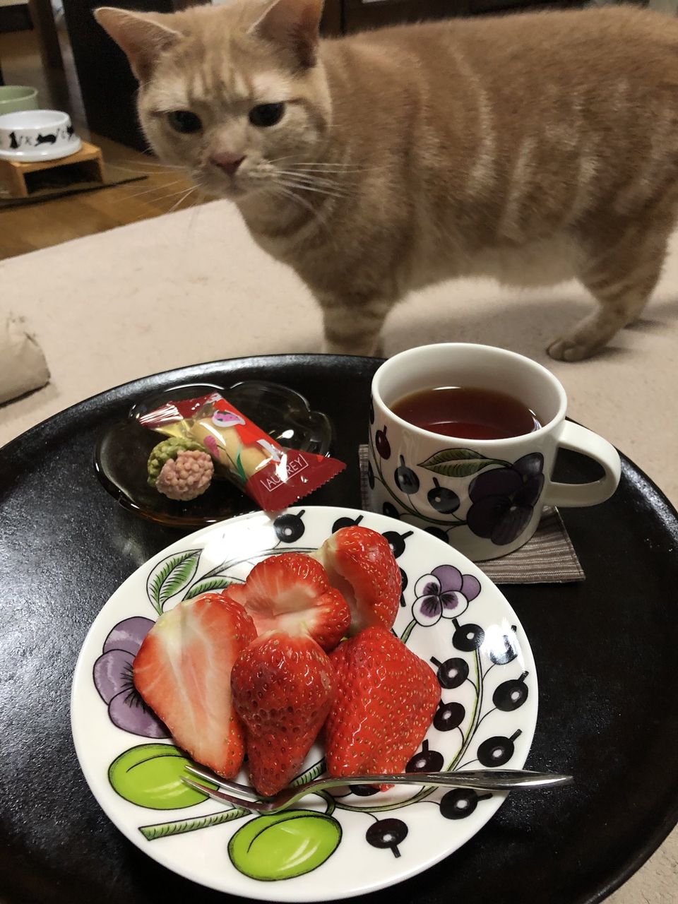 とにかく明るいカー娘が話題 気になる そだね おやつタイムカット