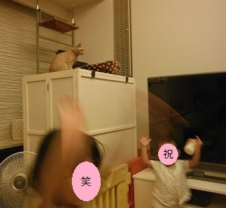 DSCF9943