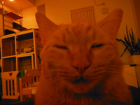 DSCF2531