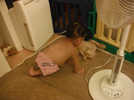 DSCF0160