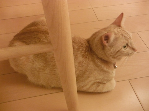 DSCF2265