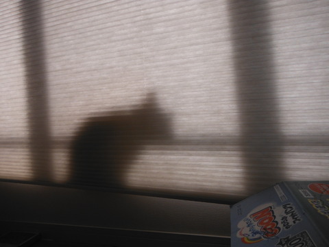 DSCF2231