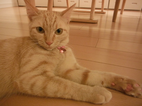 DSCF9912