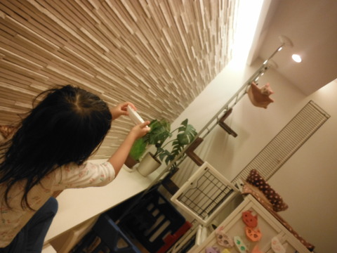 DSCF1478