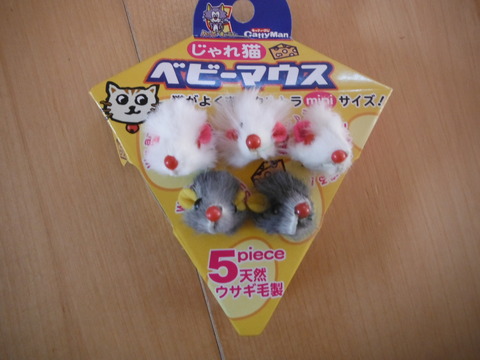 DSCF0641