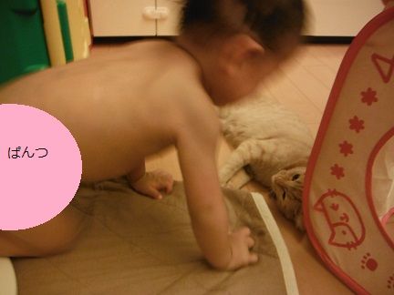 DSCF0169