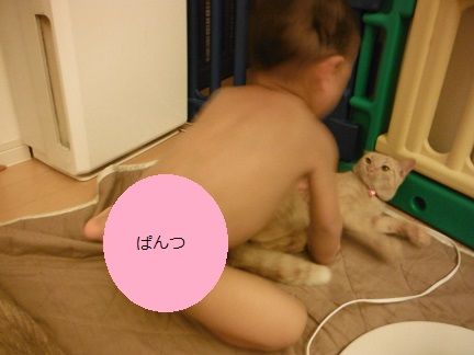 DSCF0167