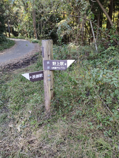 IMG_20201101_115517