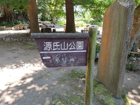 IMG_20210724_120418