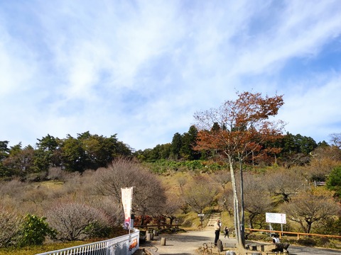 IMG_20201101_125540