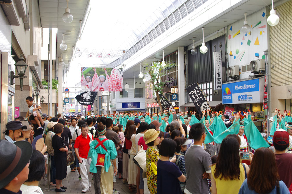２０１６年 今年も本場高知のよさこい祭り楽しんできました のぶの家