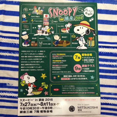 16年07月 雑貨パトロール 16年07月 雑貨パトロール