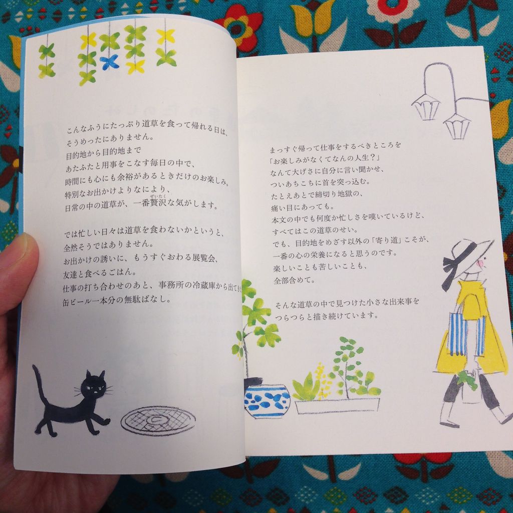 杉浦さやかさんの本のおはなし 雑貨パトロール 杉浦さやかさんの本のおはなし 雑貨パトロール