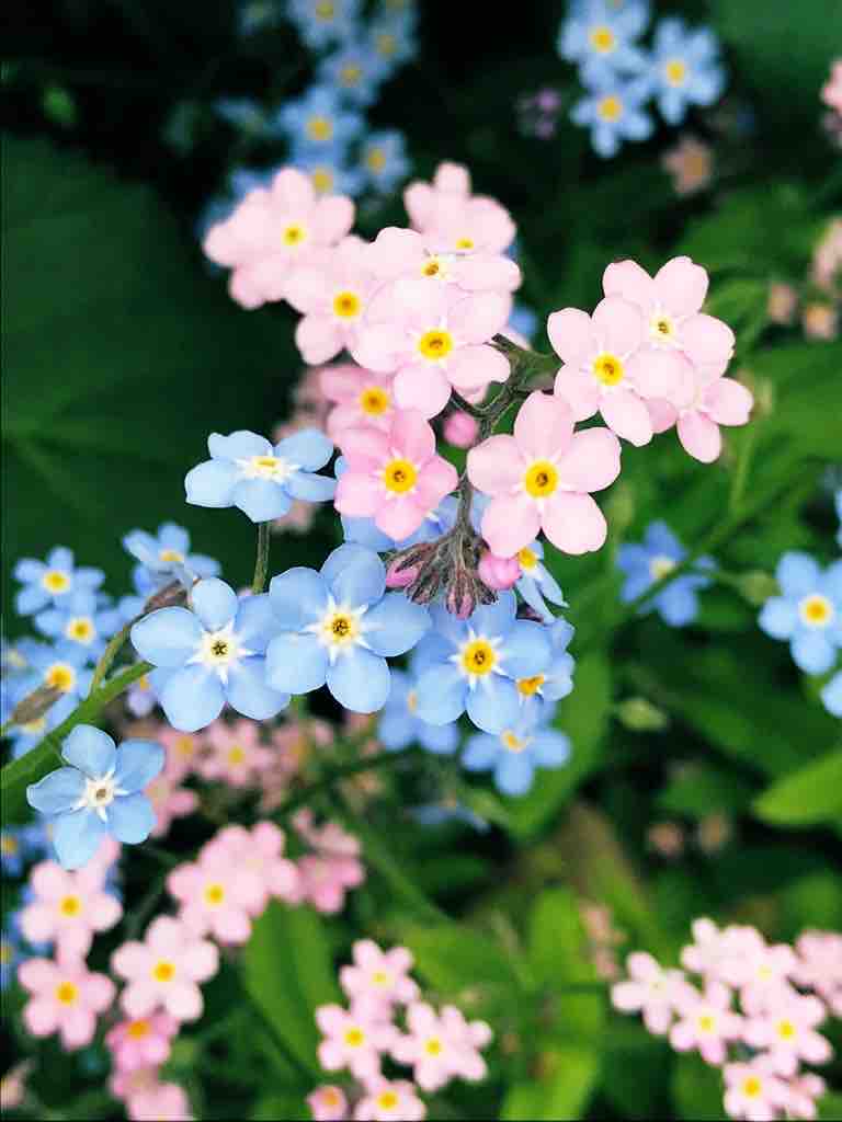 クルテクのシールブックのおはなし 雑貨パトロール