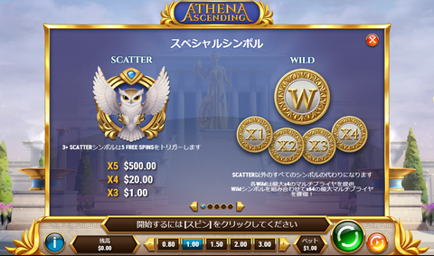 フクロウさんは500倍