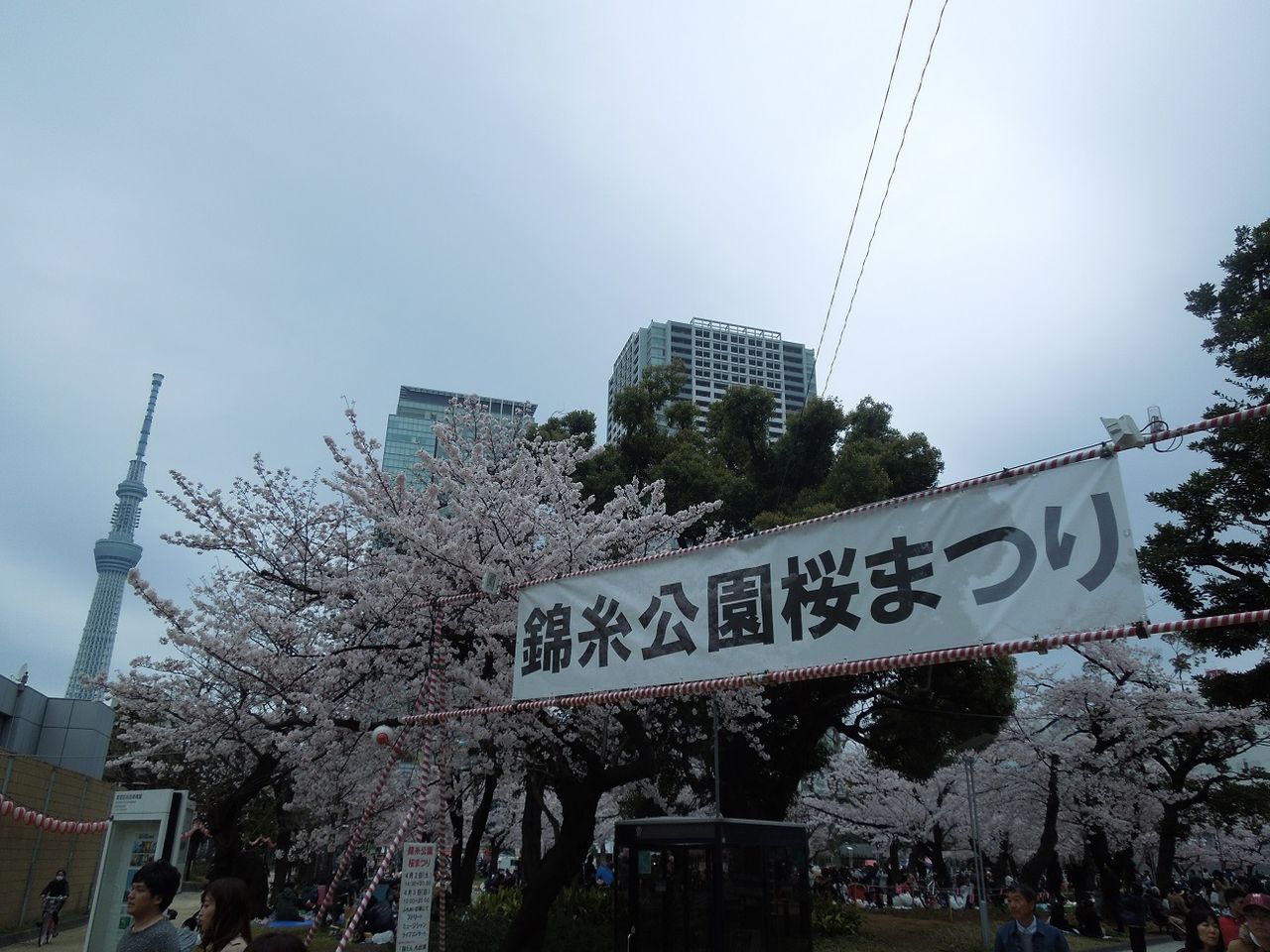 Maya Miki 錦糸公園桜まつり1 16 04 02 錦糸町 ざっくの 週末はライブだ