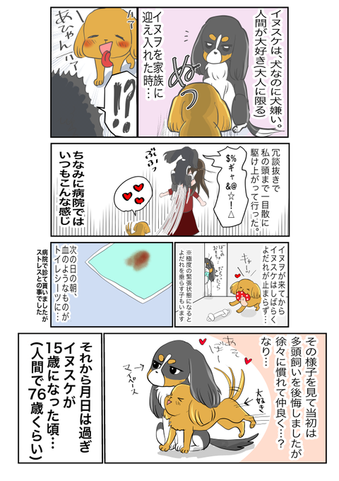 5433175F-2D29-4F35-8728-F784F345D2E9