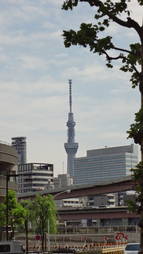 DSC03220