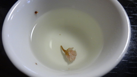 DSC03754