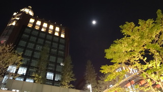 036