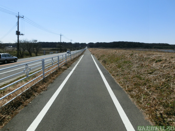 CIMG4979