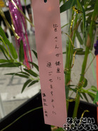 P7060577