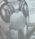 20130214_062841
