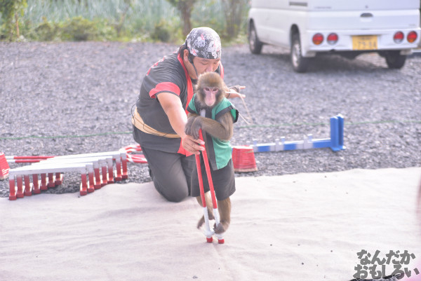 土師祭2014』全記事まとめ 写真 画像_4445