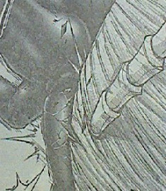 テラフォーマーズ　第81話感想　頭突き！？