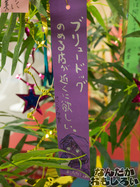 P7060550