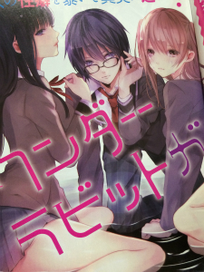 ジャンプSQ.新連載『ワンダーラビットガール』がとんでもなかった件