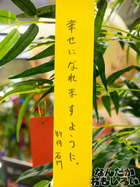 P7060537