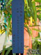 P7060588