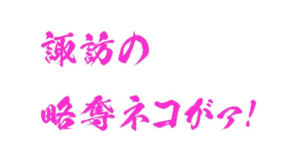 20210712_200227