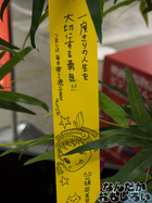 P7060552